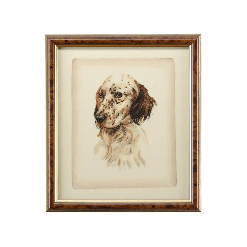 Danchin Setter Gold Framed Artwork-Framed Wall Art-Chelsea House-LOOMLAN