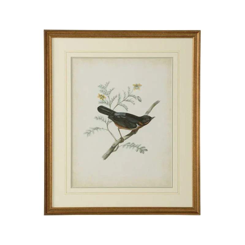 Delicate Birds Giclee Printed Artwork-Framed Wall Art-Chelsea House-Birds III-LOOMLAN