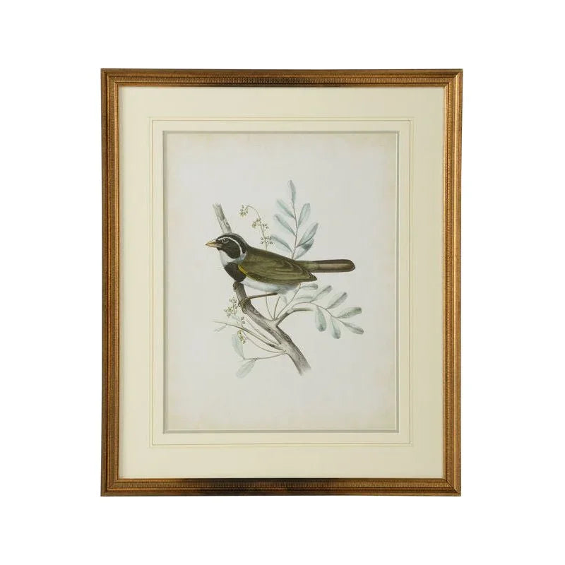 Delicate Birds Giclee Printed Artwork-Framed Wall Art-Chelsea House-Birds VI-LOOMLAN