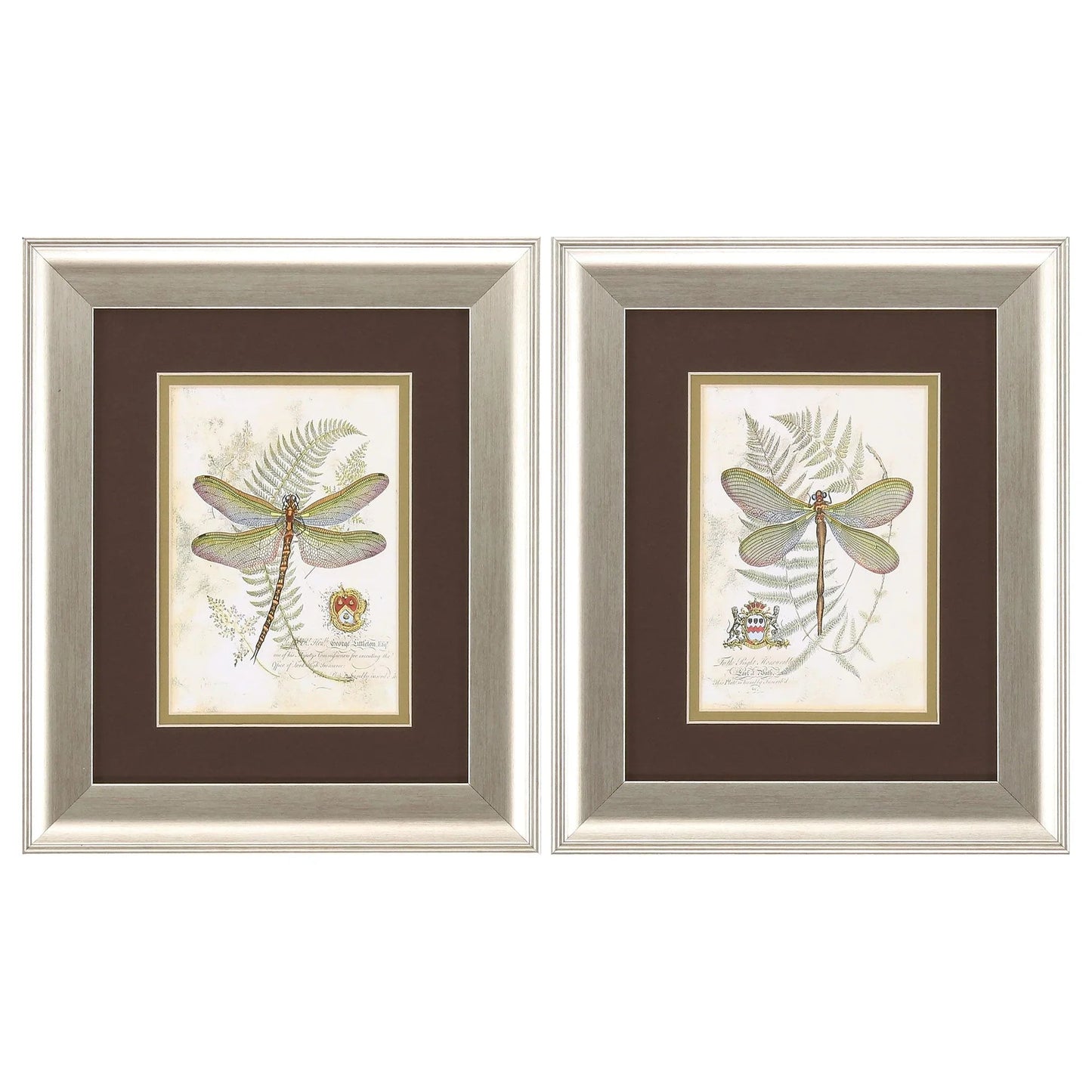 Dragonfly Neutral Canvas Art 2PC