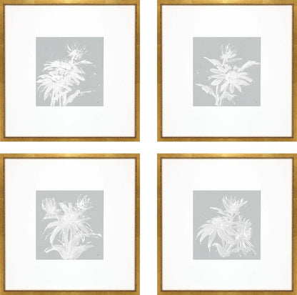 Echinacea Wood Blue Framed Wall Art 4PC