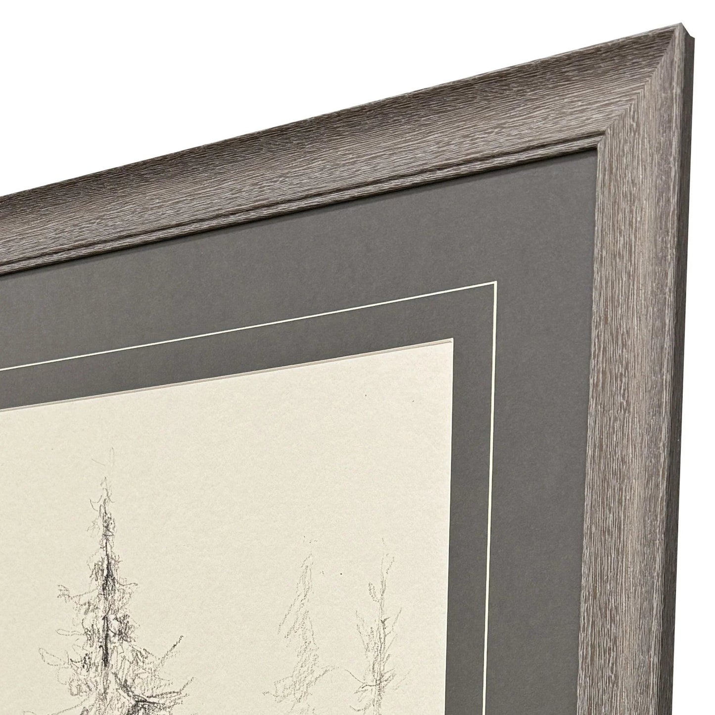 Elegant Pine Black Canvas Art