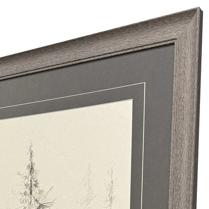 Elegant Pine Black Canvas Art