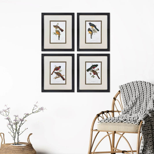 Elegant Trogons Multi Canvas Art 4PC