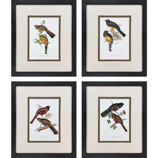 Elegant Trogons Multi Canvas Art 4PC