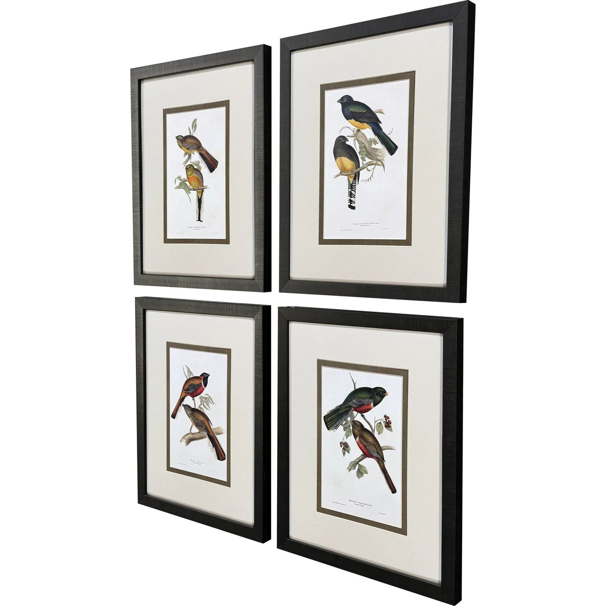 Elegant Trogons Multi Framed Wall Art 4PC -- view 3