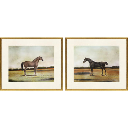 Equestrian Wood Frame Multi Canvas Art 2PC