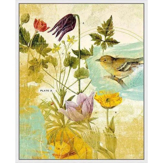 First Bird the Garden Artwork d Canvas Floating - LOOMLAN - LOOMLAN - Canvas Art
