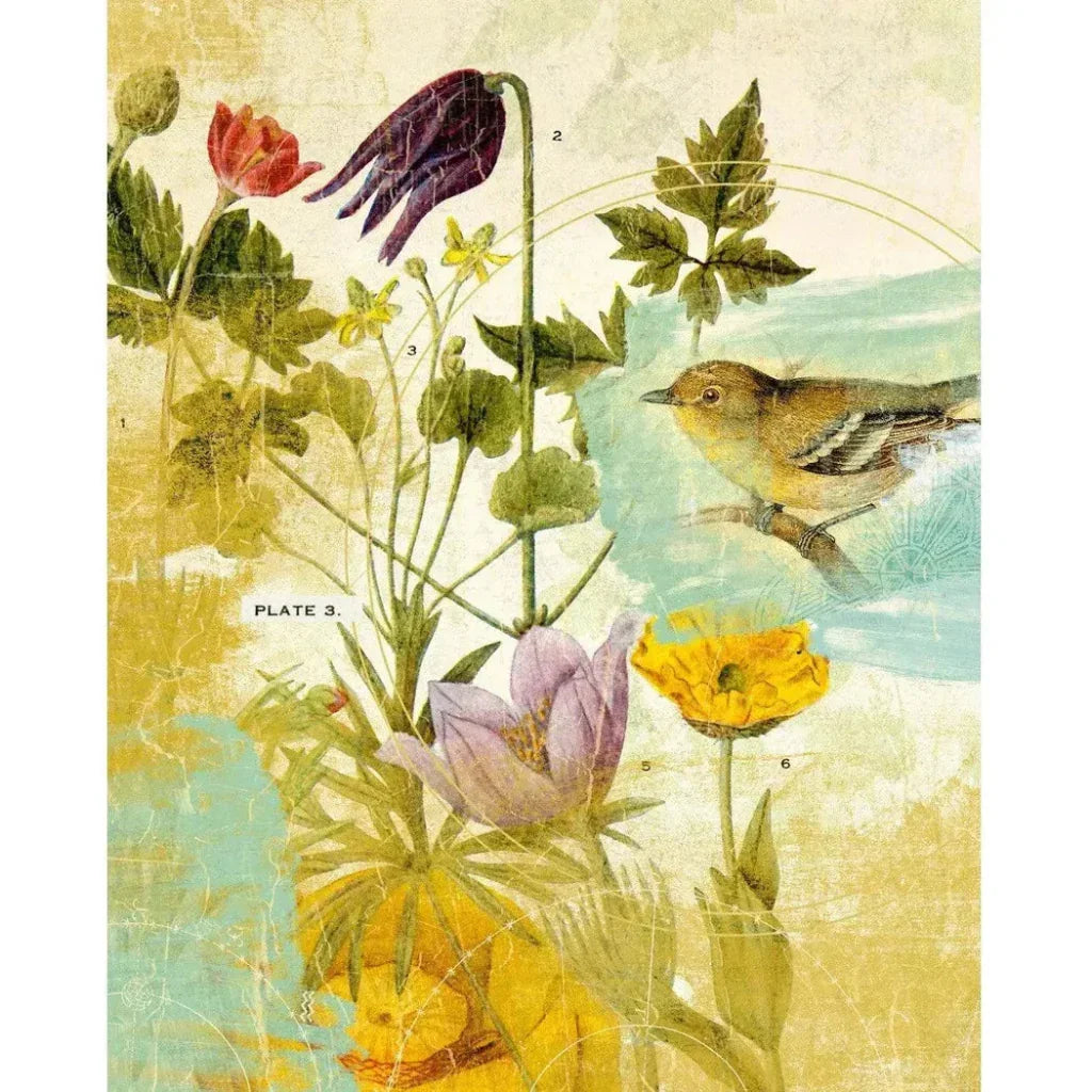 First Bird the Garden Artwork d Canvas Floating - LOOMLAN - LOOMLAN - Canvas Art