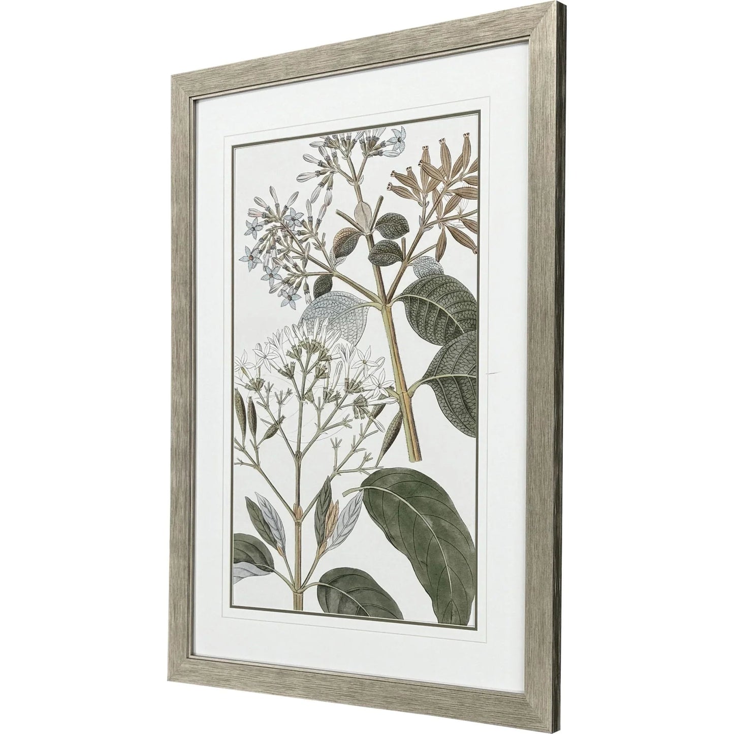Flowering Botanical Green Canvas Art