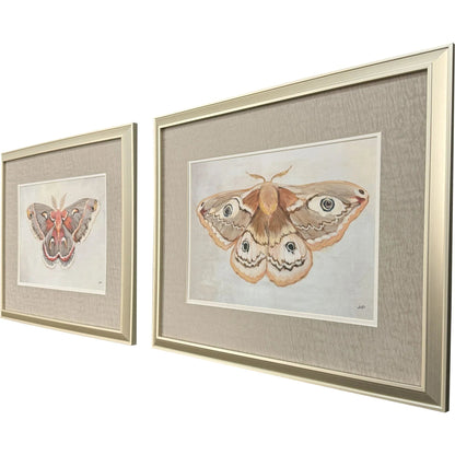 Forest Moth Pink Canvas Art 2PC
