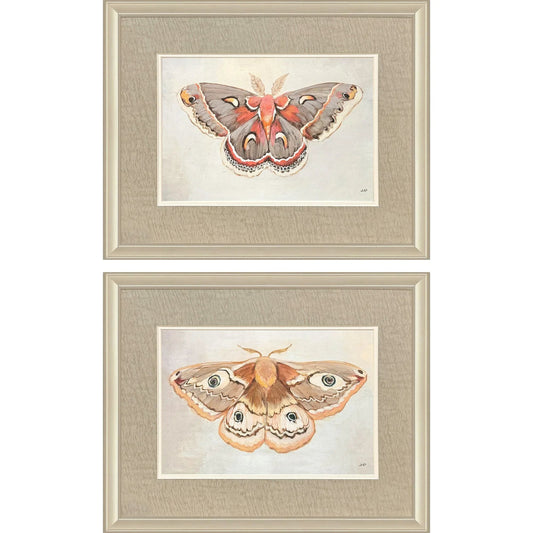 Forest Moth Pink Canvas Art 2PC