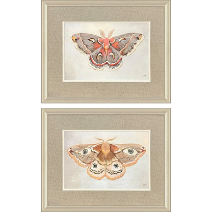 Forest Moth Pink Framed Wall Art 2PC