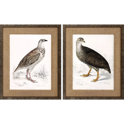 Francolinus Birds Wood Frame Brown Canvas Art 2PC