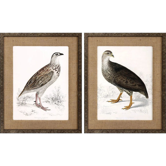 Francolinus Birds Wood Frame Brown Canvas Art 2PC