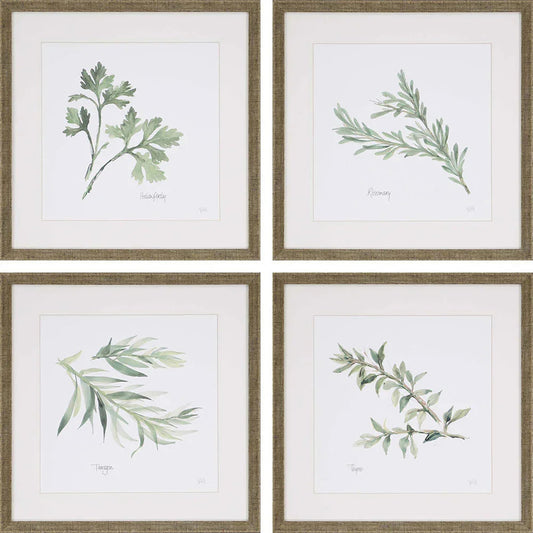 Fresh Herbs Green Canvas Art 4PC