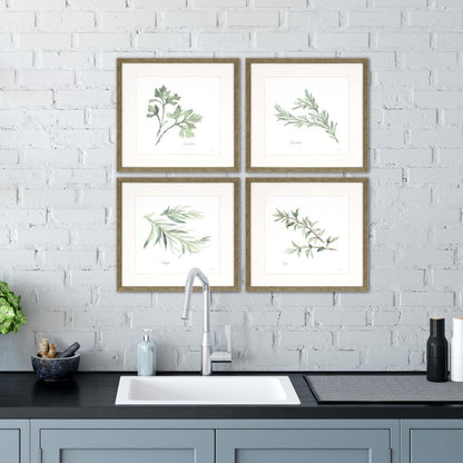 Fresh Herbs Green Framed Wall Art 4PC -- view 2