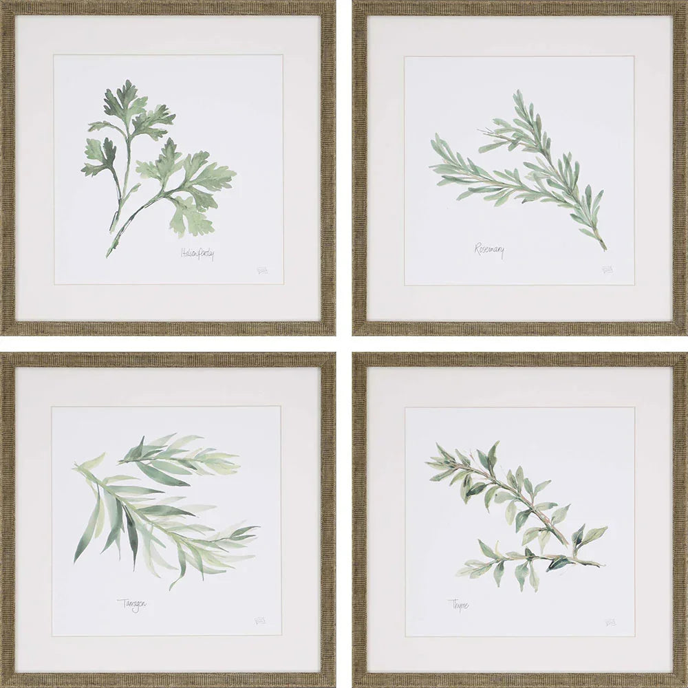 Fresh Herbs Green Framed Wall Art 4PC