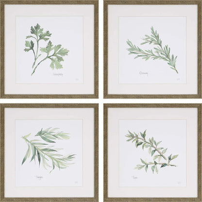 Fresh Herbs Green Framed Wall Art 4PC