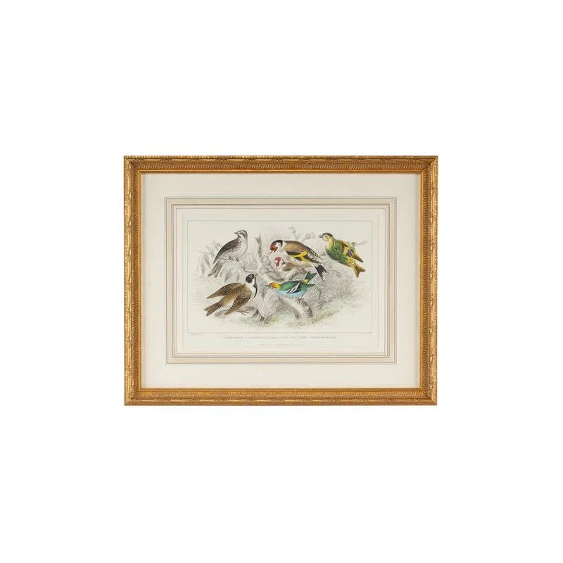 Gold Finch, Bunting & Wrens Gold Leafed Frame Artwork-Framed Wall Art-Chelsea House-LOOMLAN
