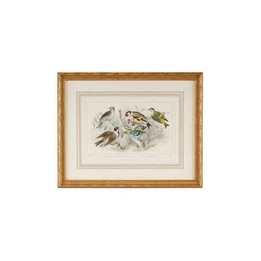 Gold Finch, Bunting & Wrens Gold Leafed Frame Artwork-Framed Wall Art-Chelsea House-LOOMLAN
