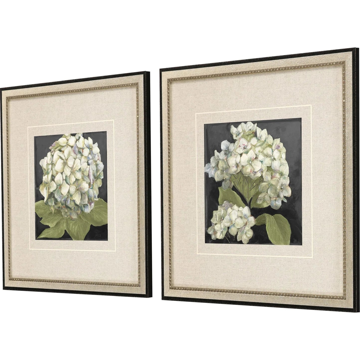 Hydrangeas on Black Wood Frame White Canvas Art 2PC