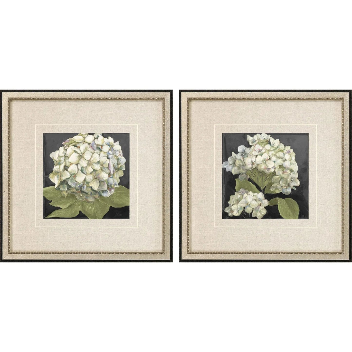 Hydrangeas on Black Wood Frame White Canvas Art 2PC