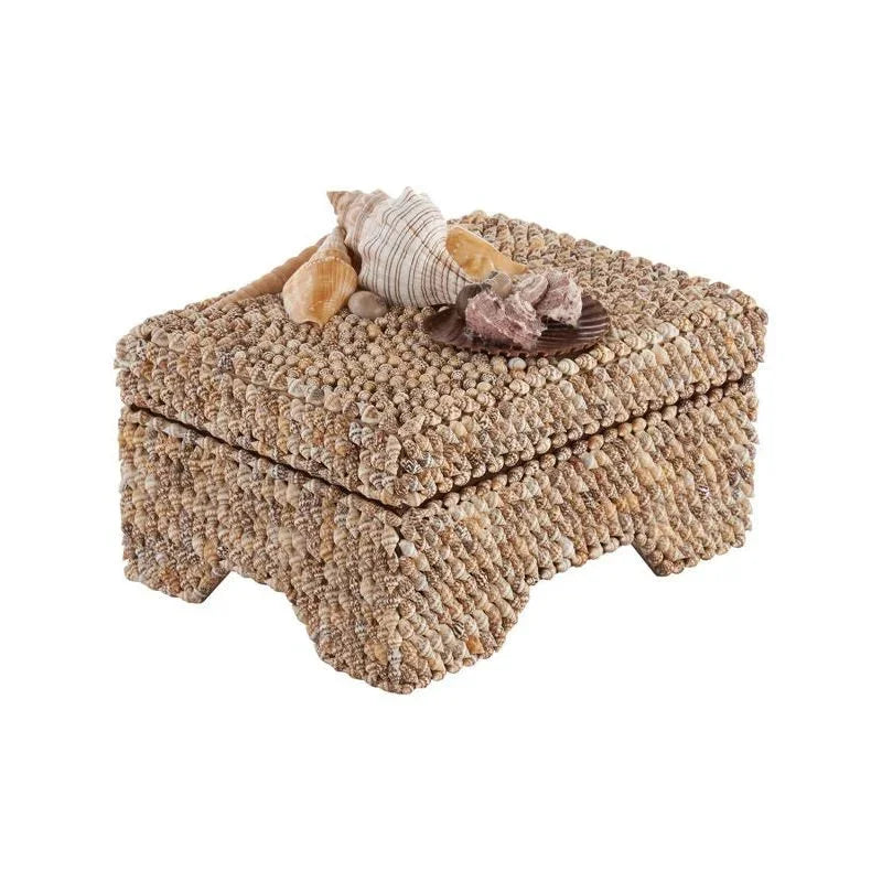 Island Shell Made Rectangular Box -- view 6