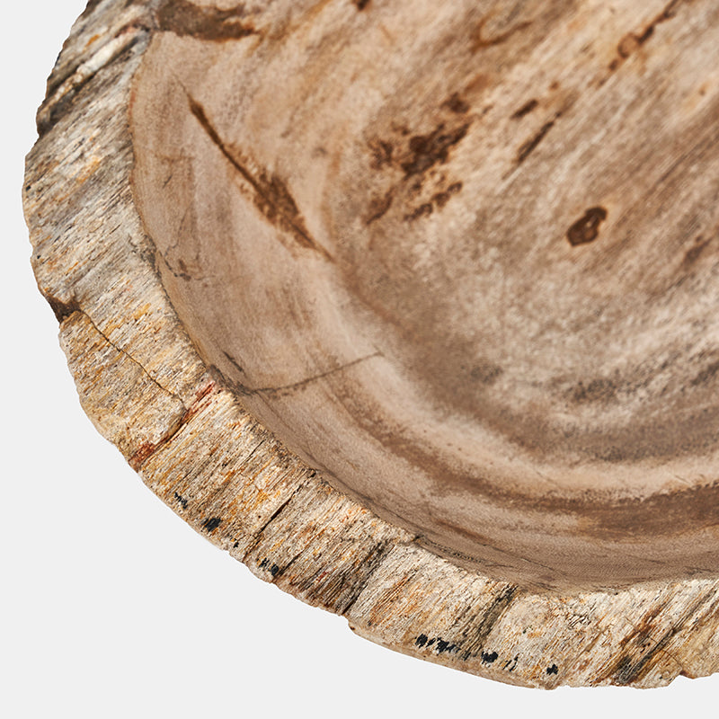 Jasper Petrified Wood Bowl