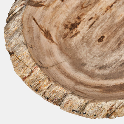 Jasper Petrified Wood Bowl