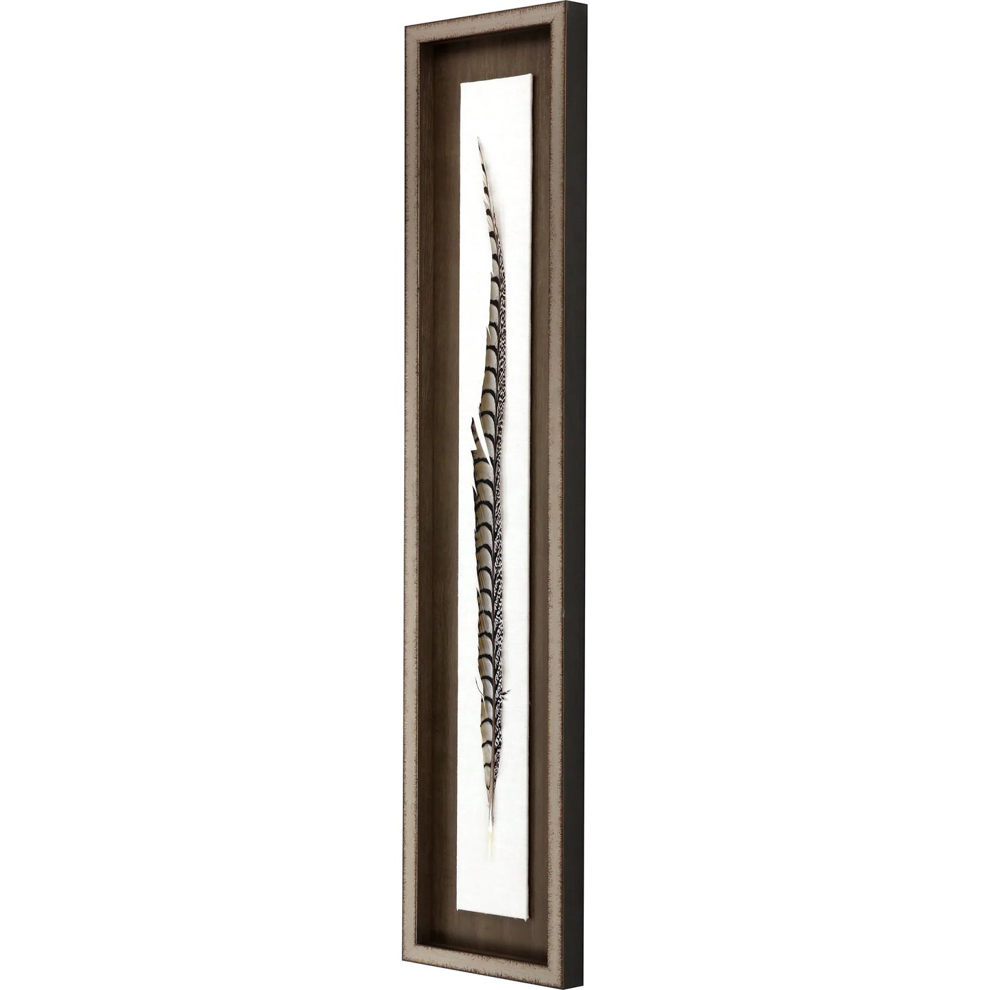 Lady Amhurst Feather Wood Frame Brown Canvas Art