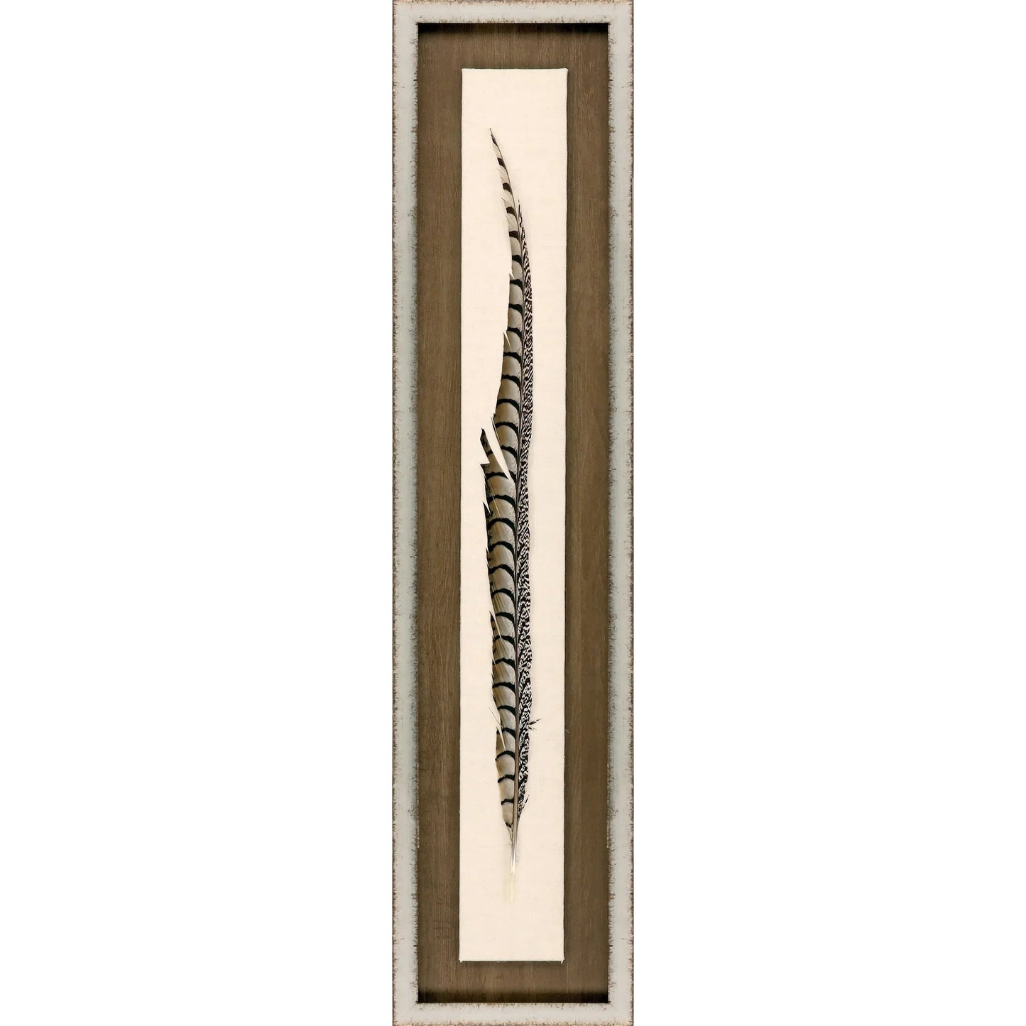 Lady Amhurst Feather Wood Frame Brown Canvas Art