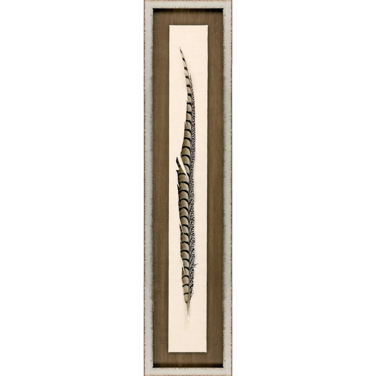 Lady Amhurst Feather Wood Framed Wall Art
