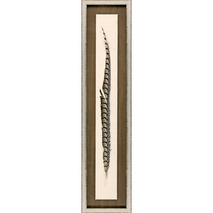 Lady Amhurst Feather Wood Framed Wall Art