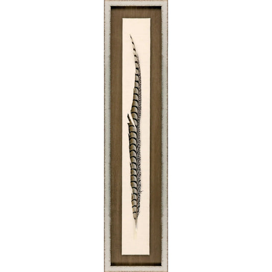 Lady Amhurst Feather Wood Framed Wall Art