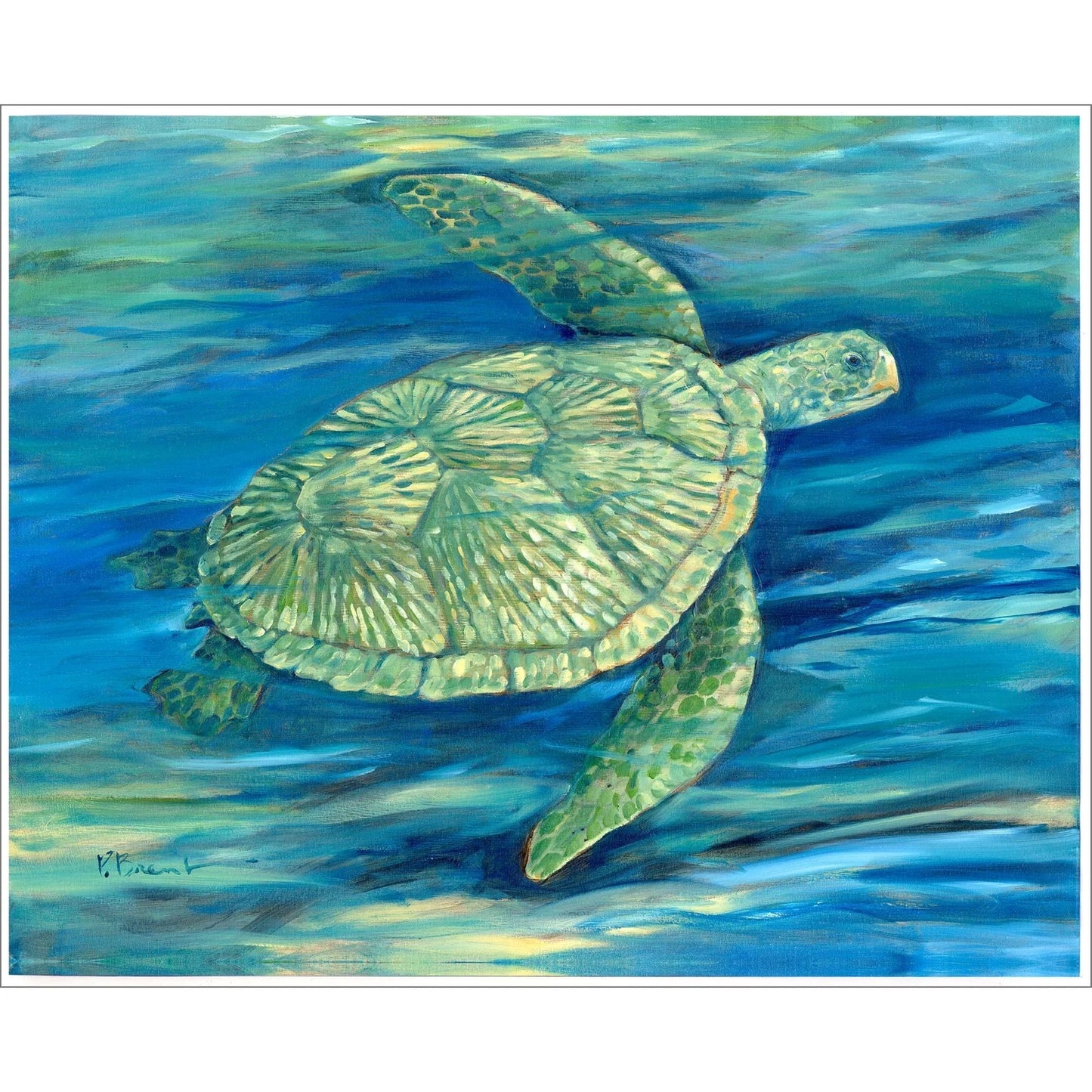 Lagoon Turtle III Green Canvas Art