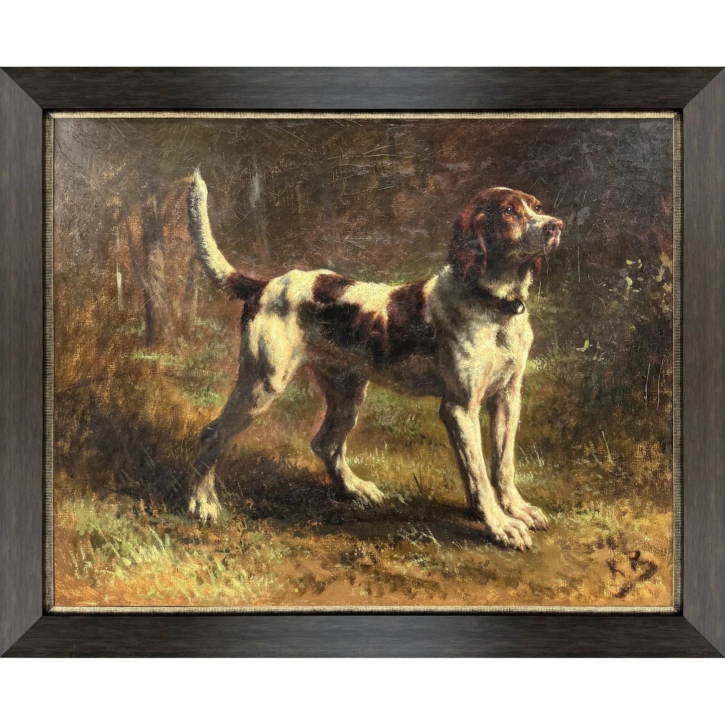 Limier Briquet Hound Brown Canvas Art