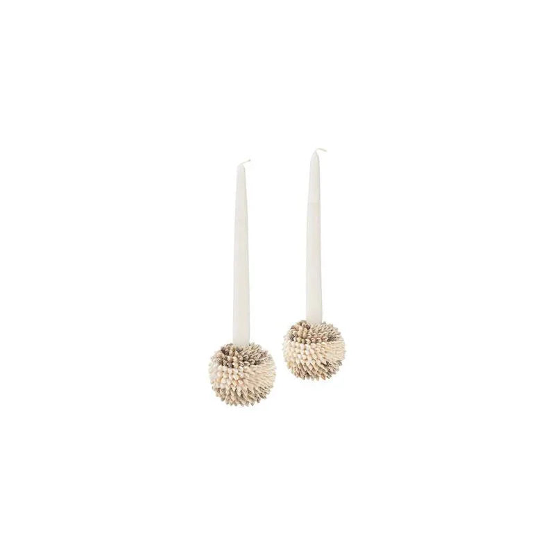 Nassa Shell Made Candleholder (Set Of 2) - LOOMLAN - Chelsea House - Candle Holders