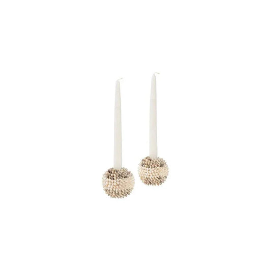 Nassa Shell Made Candleholder (Set Of 2) - LOOMLAN - Chelsea House - Candle Holders