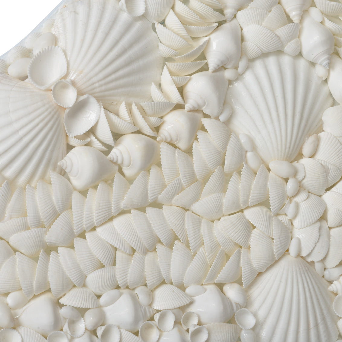 Natural Shell Decorative Wall Mirror