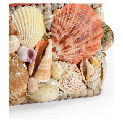 Natural Shell Made Box -- view 2
