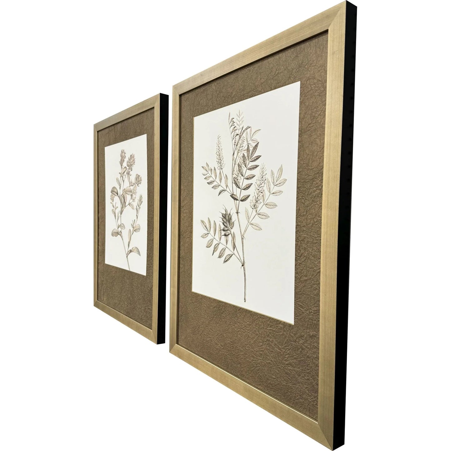 Neutral Botanical Wood Frame Brown Canvas Art 2PC