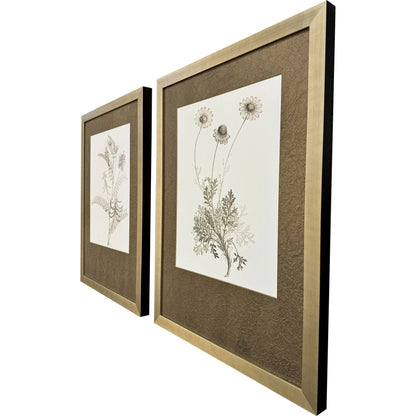 Neutral Botanical Wood Frame Brown Canvas Art 2PC