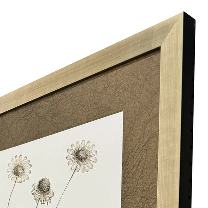 Neutral Botanical Wood Frame Brown Canvas Art 2PC
