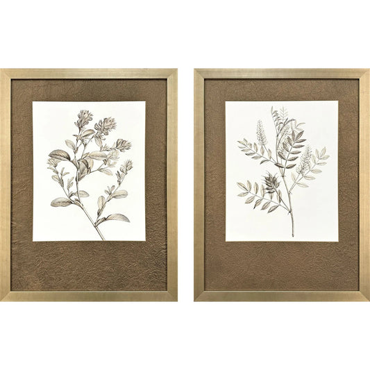 Neutral Botanical Wood Frame Brown Canvas Art 2PC