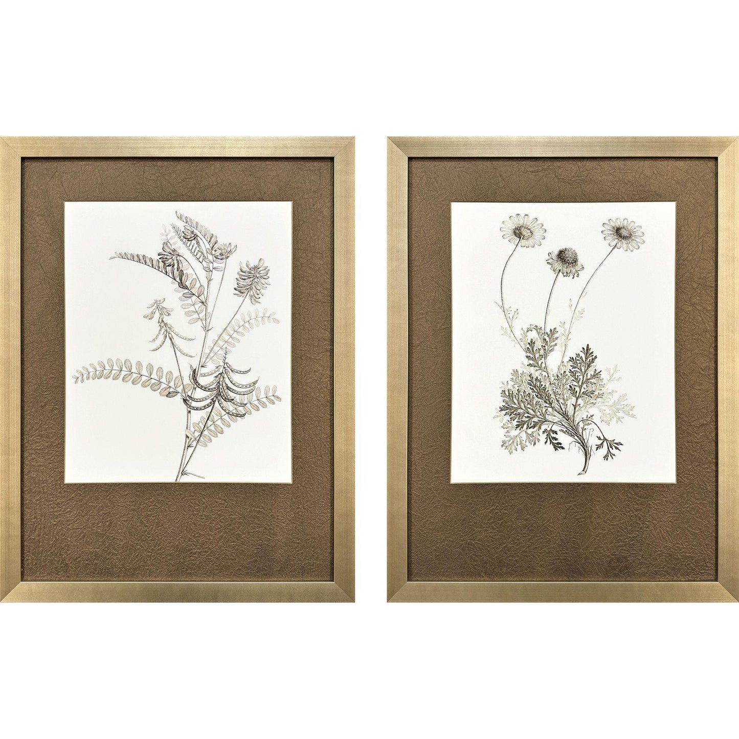 Neutral Botanical Wood Frame Brown Canvas Art 2PC