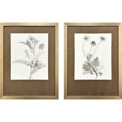 Neutral Botanical Wood Frame Brown Canvas Art 2PC