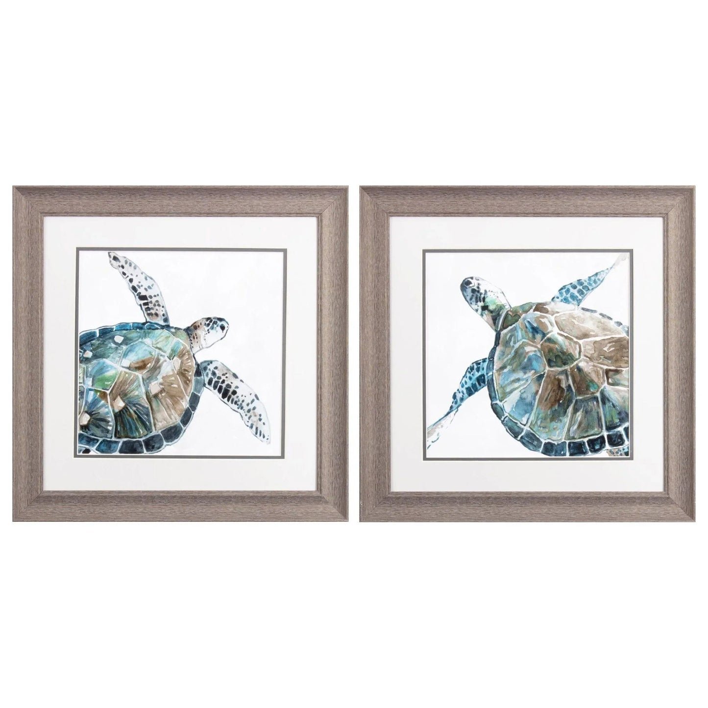 Neutral Sea Turtle Blue Canvas Art 2PC