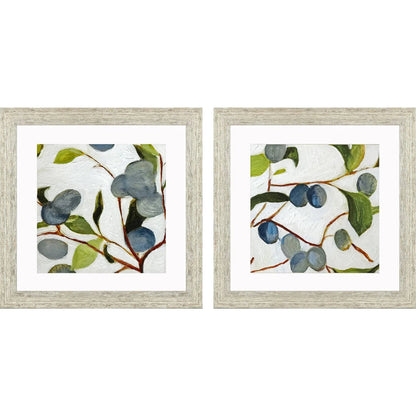 Olive Branches II Green Canvas Art 2PC