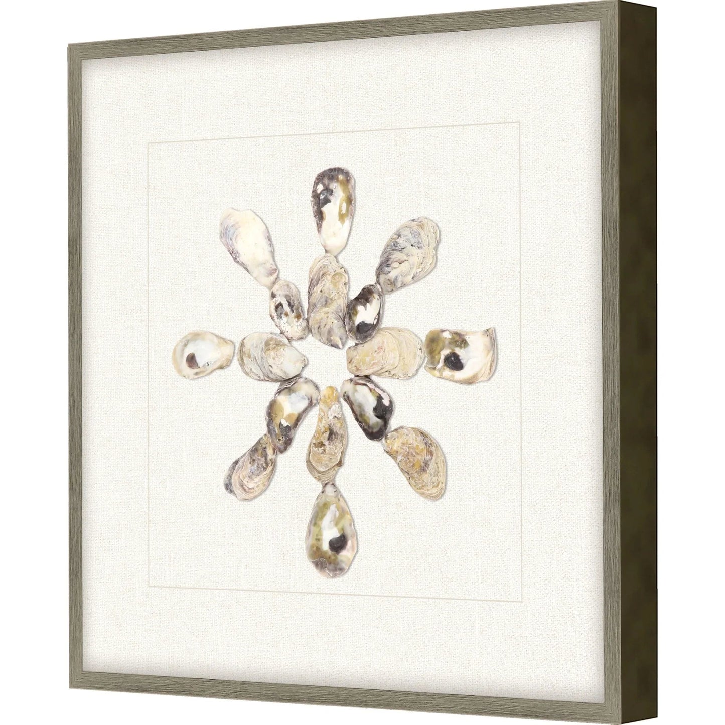 Oyster Shell Beige Canvas Art
